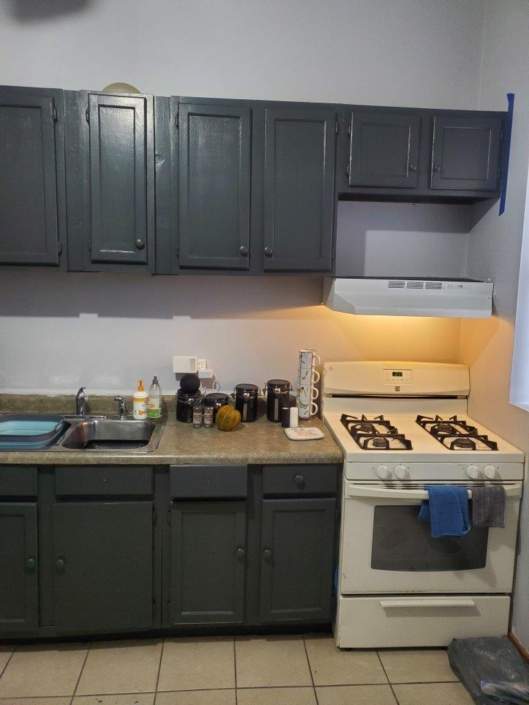 chicago kitchen remodeling